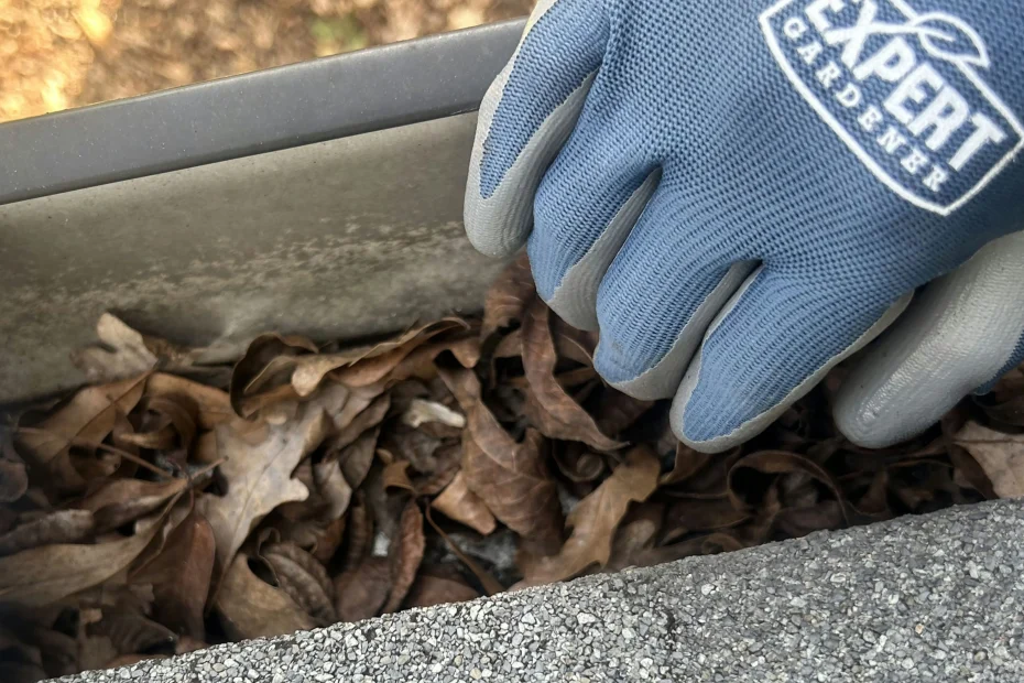 Gutter Cleaning Surfside FL